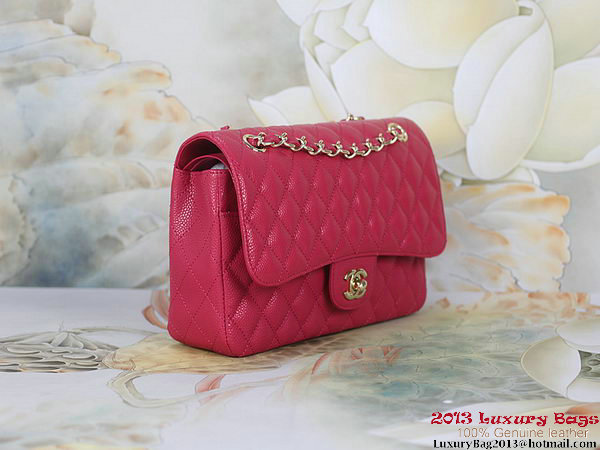 Chanel 2.55 Classic Flap Bag Rose Original Cannage Patterns Gold