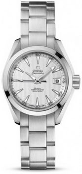 Omega Seamaster Aqua Terra Automatic Watch 158590AA