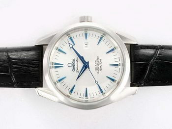 Omega Seamaster Replica Watch OM8039R