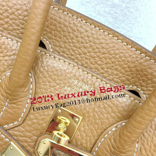 Hermes Birkin 25CM Tote Bag Original Leather H25T Wheat