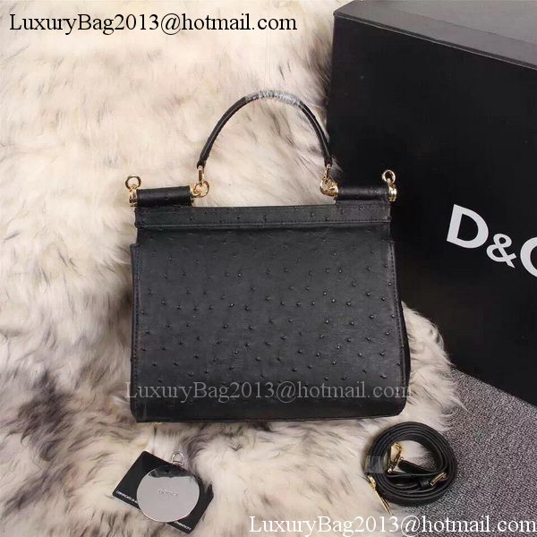 Dolce & Gabbana SICILY Bag Ostrich Leather BB4137TA Black