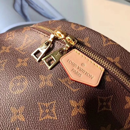 Louis vuitton  monogram canvas BUMBAG M43644