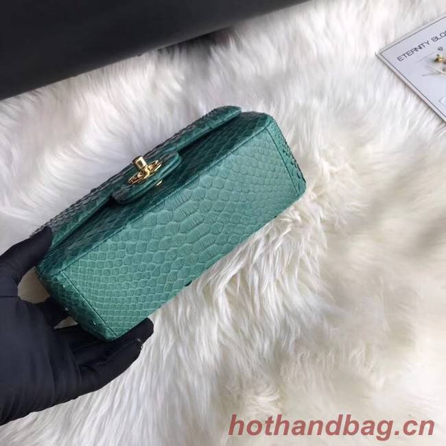 Chanel Mini Flap Bag Python & Gold-Tone Metal A69900 green