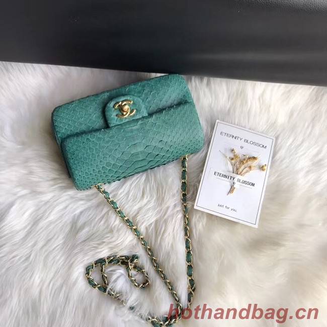 Chanel Mini Flap Bag Python & Gold-Tone Metal A69900 green