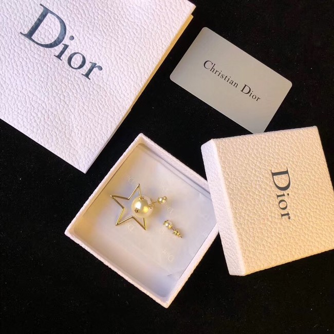 Dior Earrings 4216