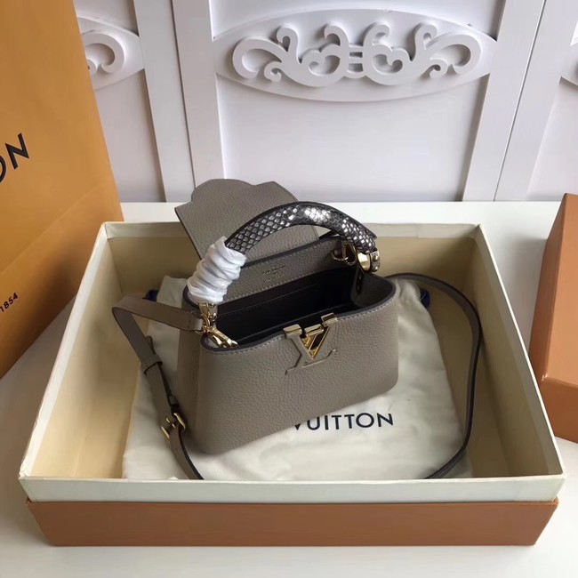 Louis vuitton original CAPUCINES MINI N94047 grey