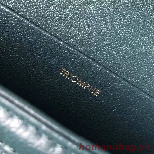 CELINE MEDIUM TRIOMPHE BAG IN SHINY CALFSKIN CL87363 GREEN