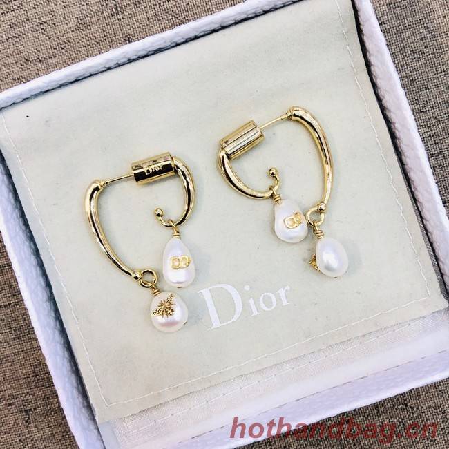 Dior Earrings CE2021