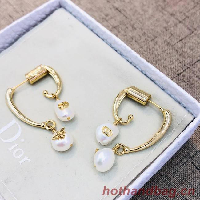 Dior Earrings CE2021