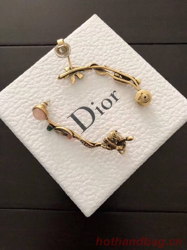 Dior Earrings CE2134