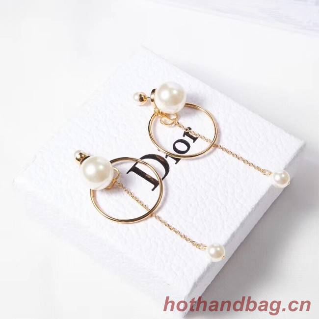 Dior Earrings CE2215