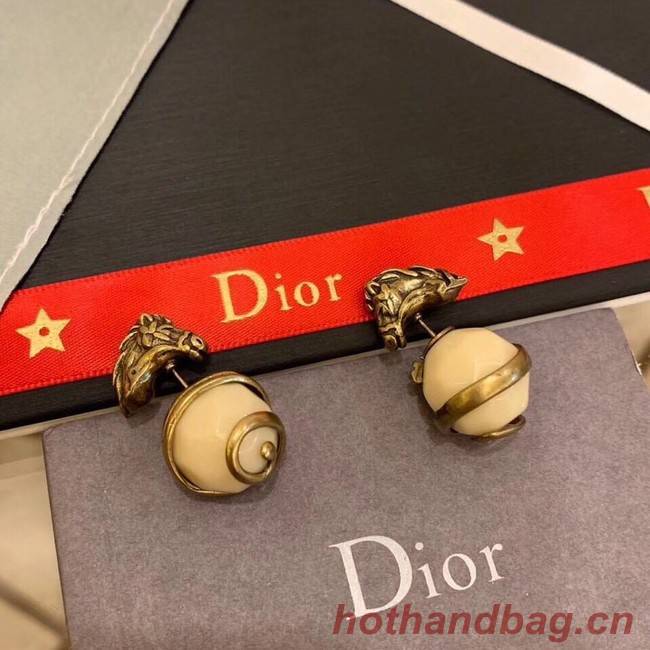 Dior Earrings CE2234