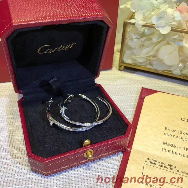 Cartier Earrings CE2313