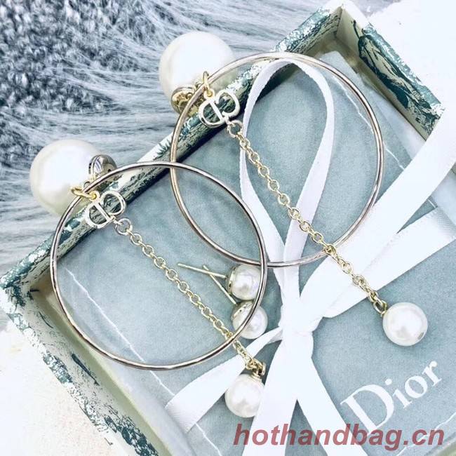 Dior Earrings CE2352