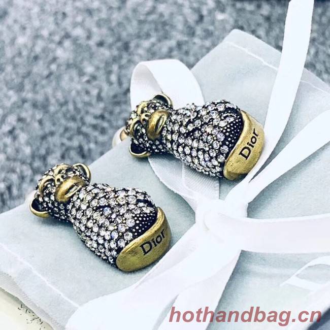 Dior Earrings CE2355