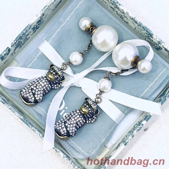 Dior Earrings CE2355