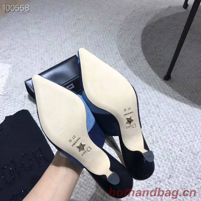 Dior Sandals Dior626H-1 9.5CM height