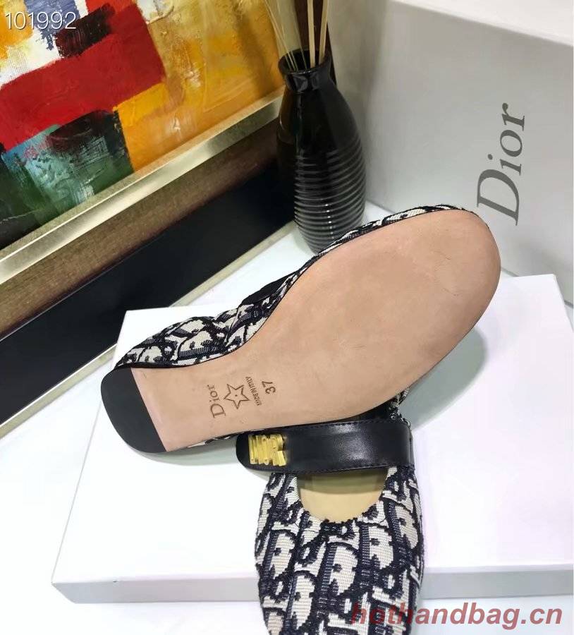 Dior shoes Dior639H-2