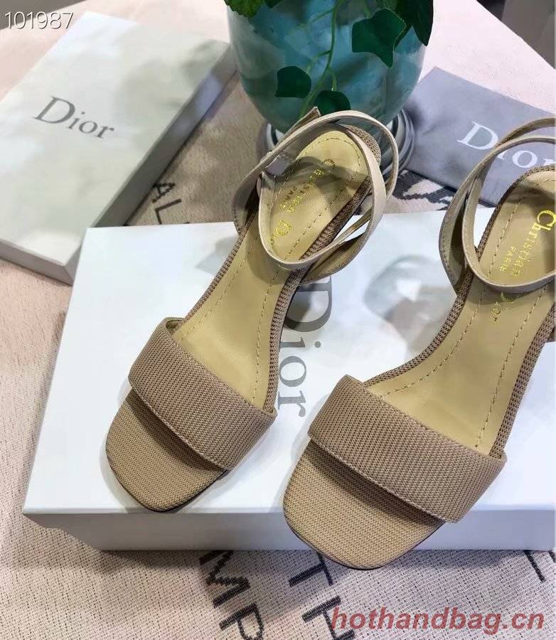 Dior Shoes Dior646H-2 6CM height