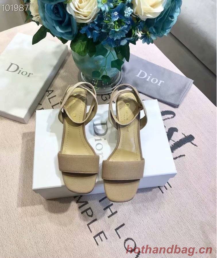 Dior Shoes Dior646H-2 6CM height