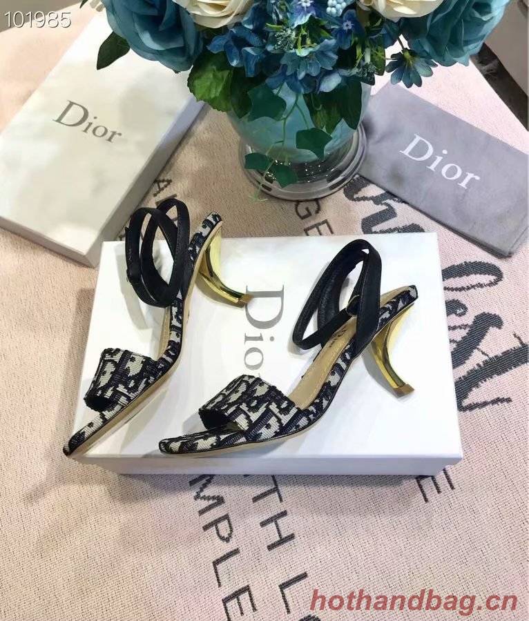 Dior Shoes Dior646H-4 6CM height