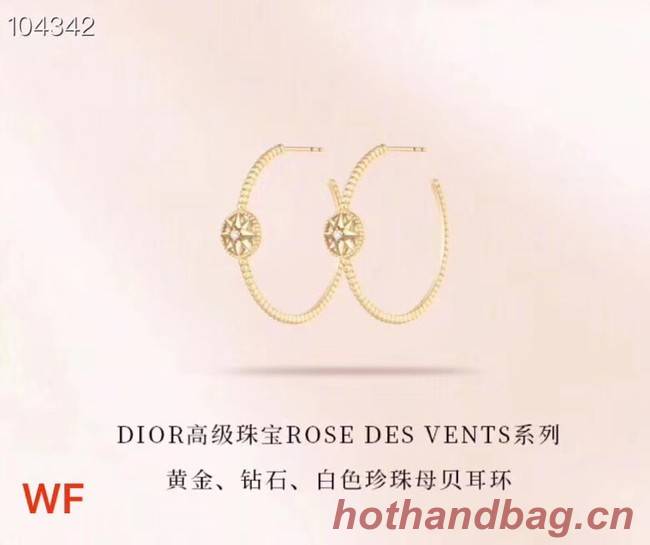 Dior Earrings CE3399