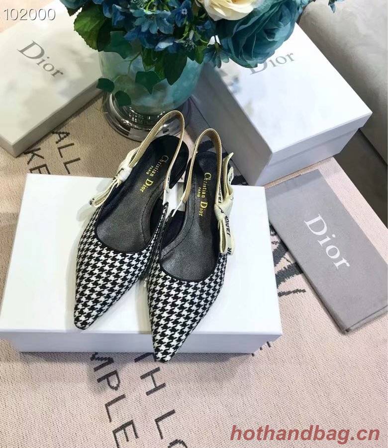 Dior Shoes Dior651H-3