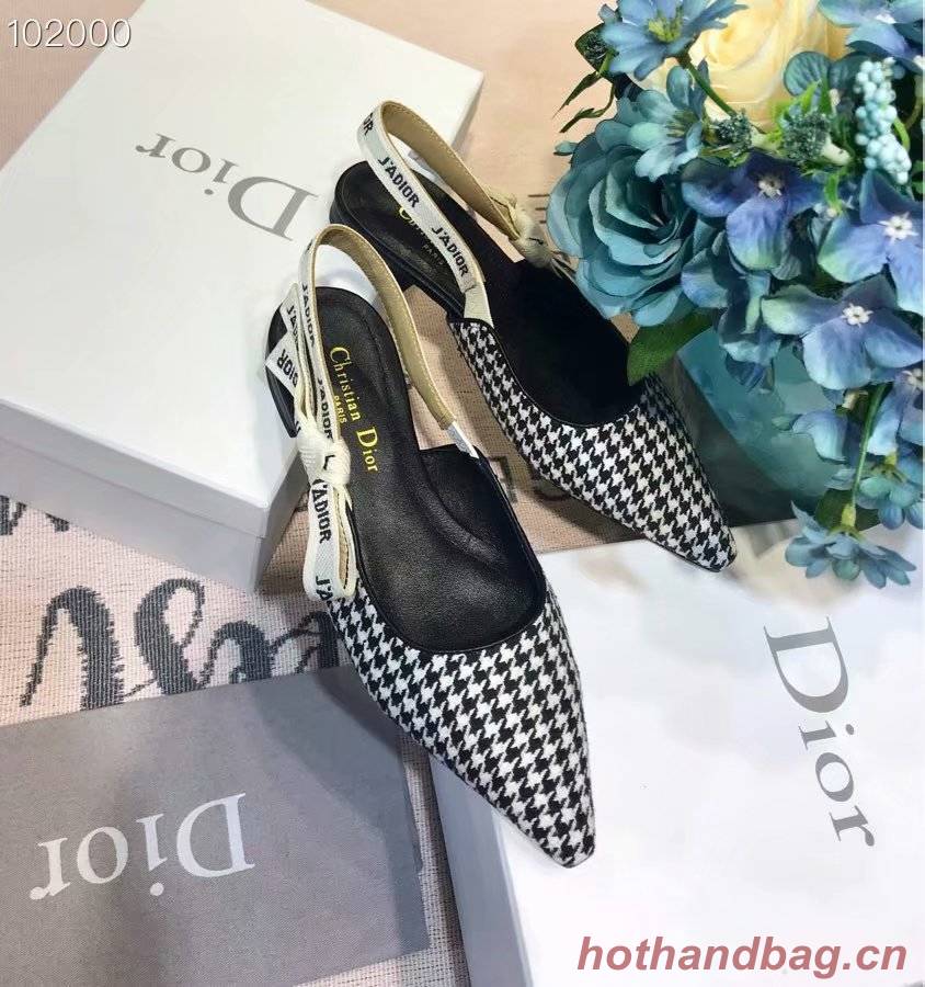 Dior Shoes Dior651H-3