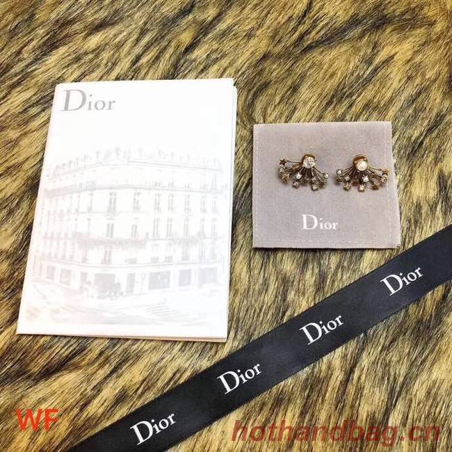 Dior Earrings CE3496