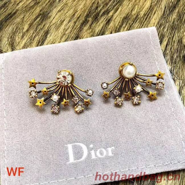 Dior Earrings CE3496