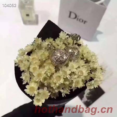 Dior Earrings CE3520