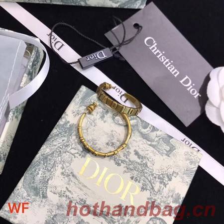 Dior Earrings CE3552