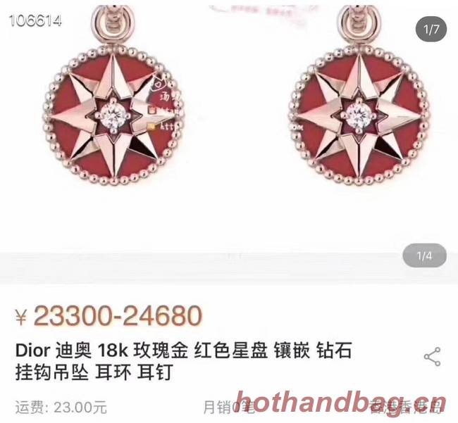 Dior Earrings CE3570