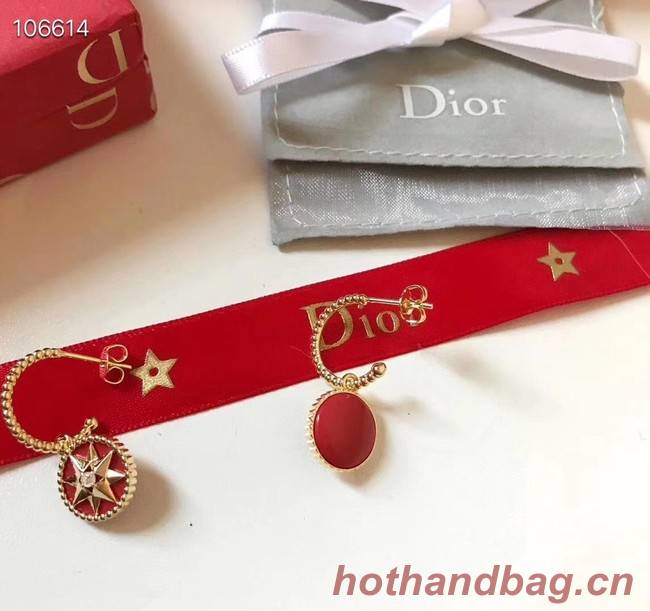 Dior Earrings CE3570