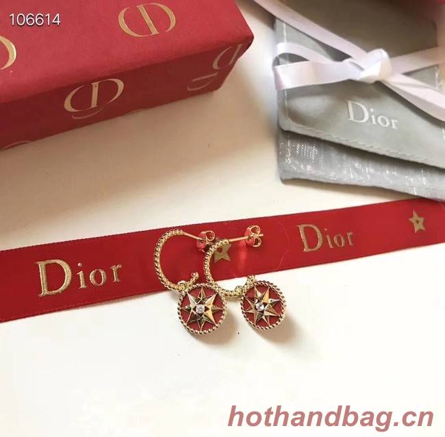 Dior Earrings CE3570