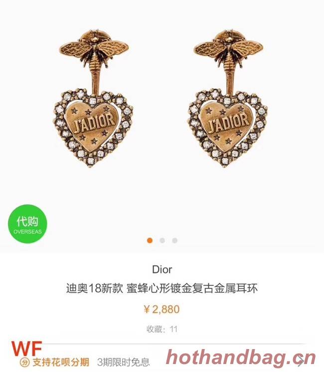 Dior Earrings CE3595