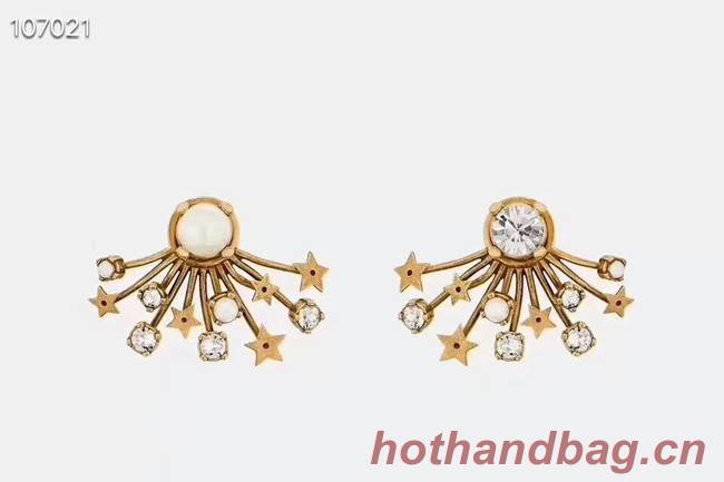 Dior Earrings CE3597