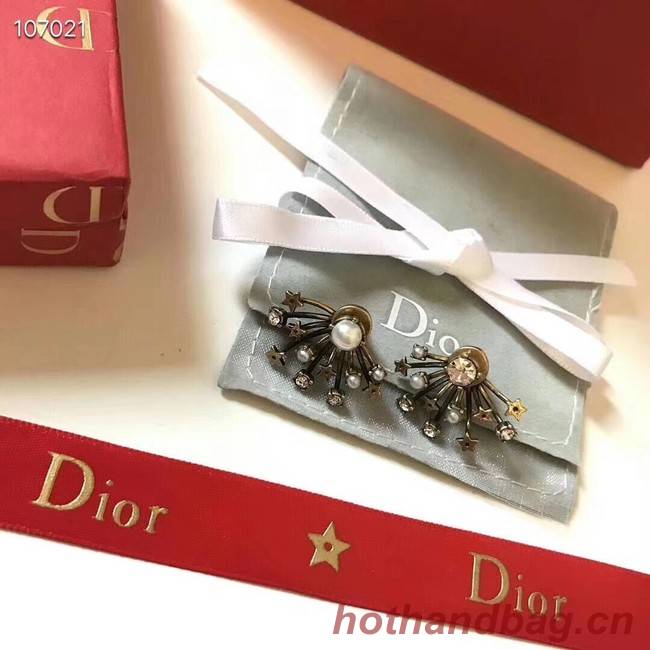 Dior Earrings CE3597