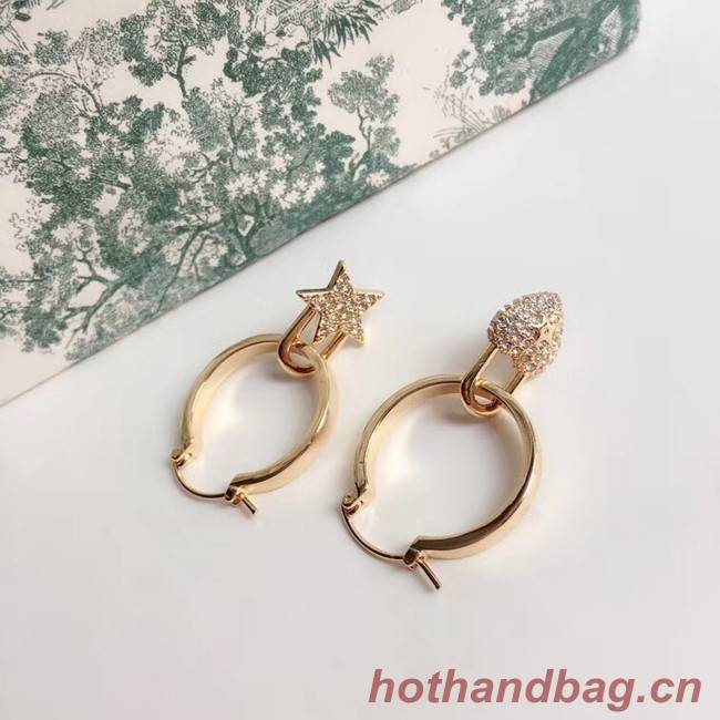 Dior Earrings CE3860