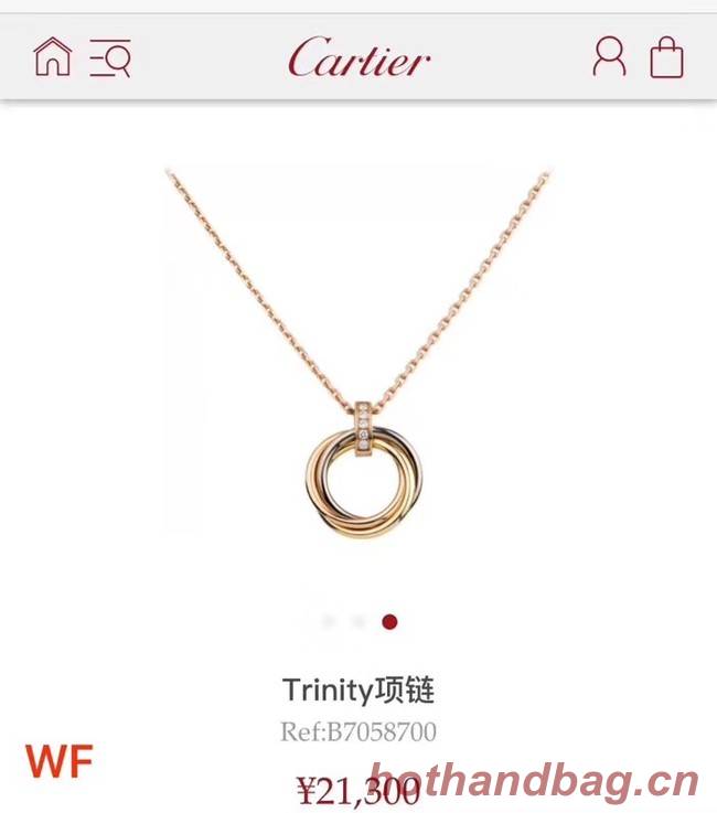 Cartier Necklace CE3869