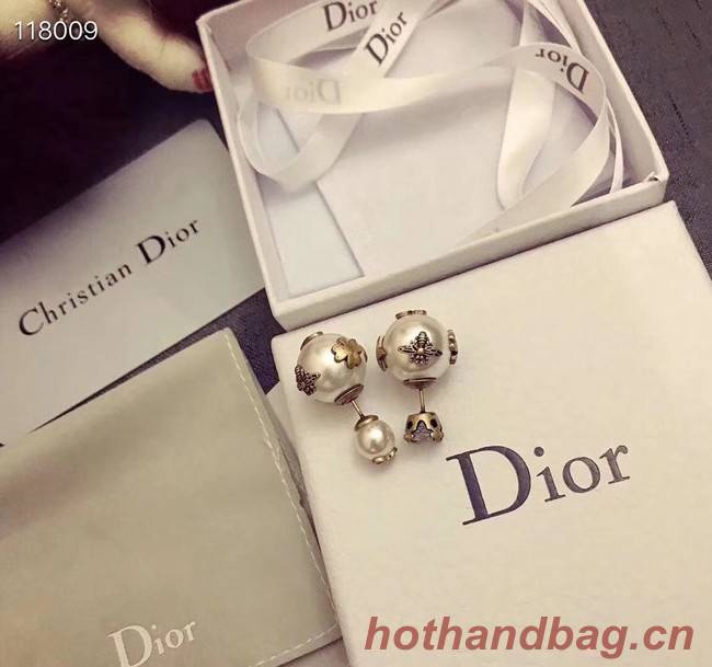 Dior Earrings CE4067