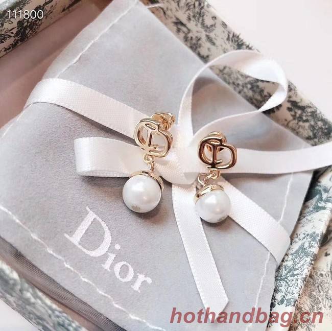 Dior Earrings CE4076