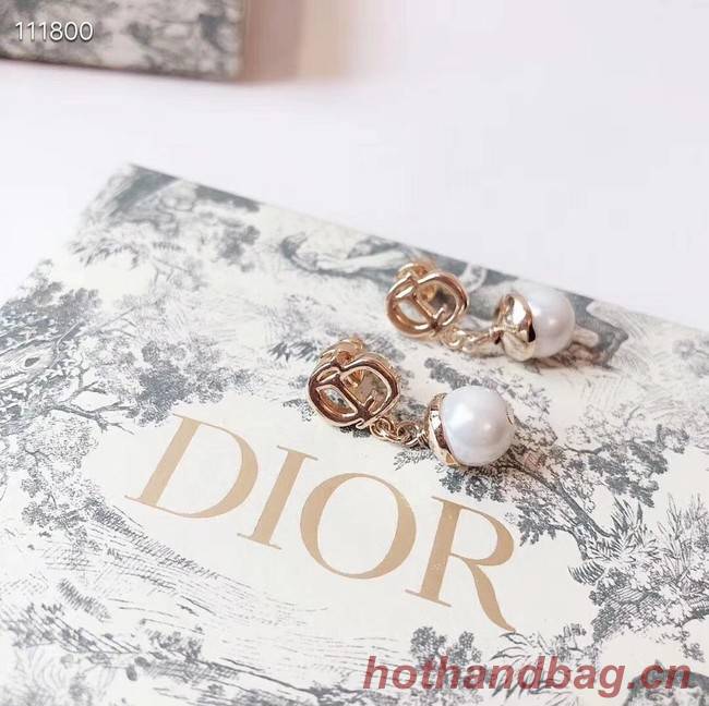 Dior Earrings CE4076