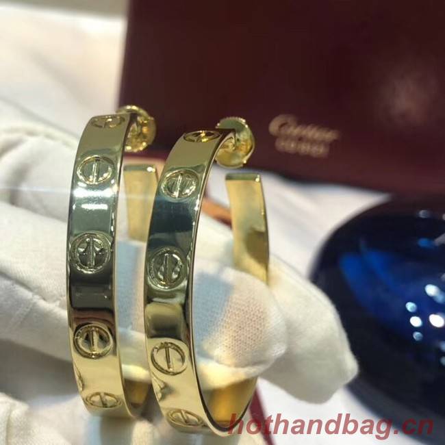 Cartier Earrings CE4141