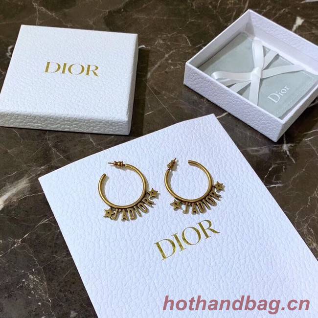 Dior Earrings CE4155