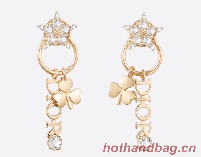 Dior Earrings CE4156