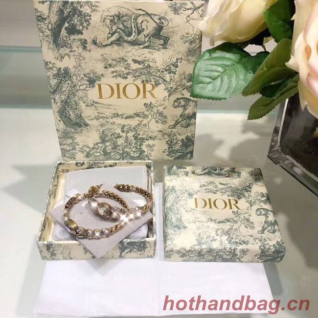 Dior Earrings CE4204