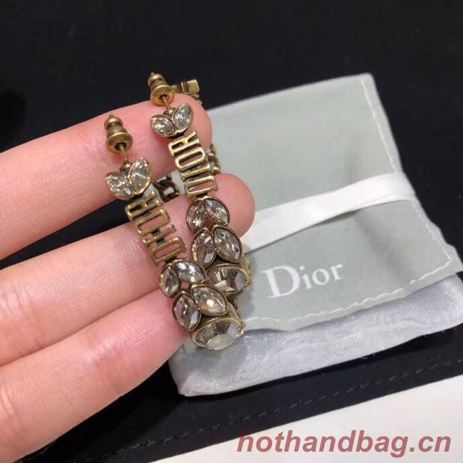 Dior Earrings CE4204