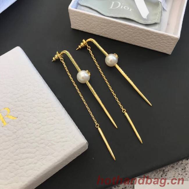 Dior Earrings CE4214