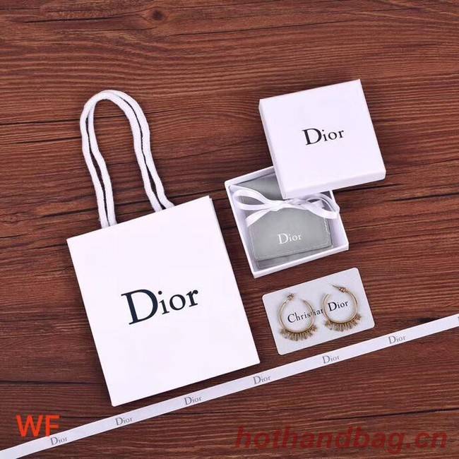 Dior Earrings CE4266